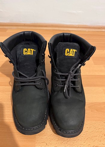 Cat Siyah Bot
