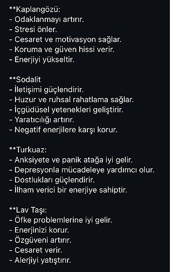 Erkek öğrenci başarı kolyesi - Görsel 2