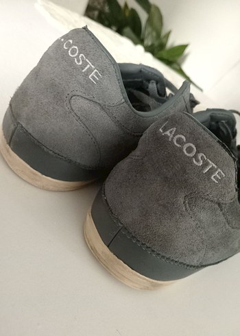 Lacoste Lacoste Gri Sneaker
