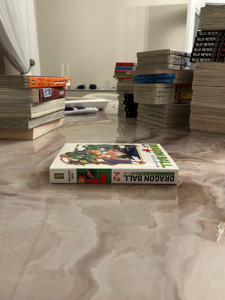 Dragon Ball 1/2 Manga - Görsel 2