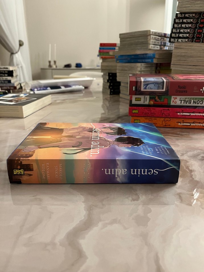 Senin Adın Manga - Görsel 2