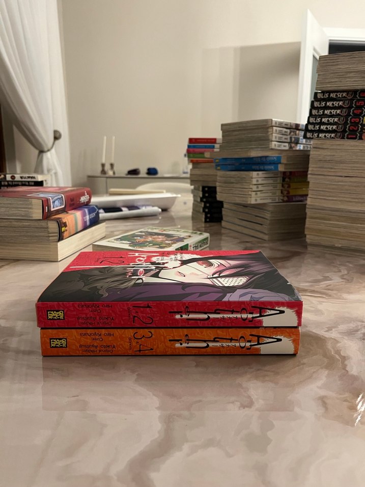 Another 1/4 Manga - Görsel 2