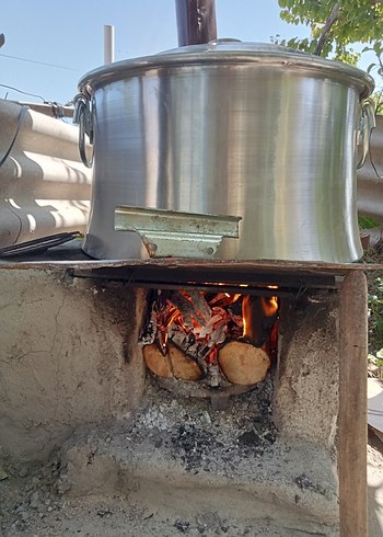 Çam Kozalaği - Görsel 4