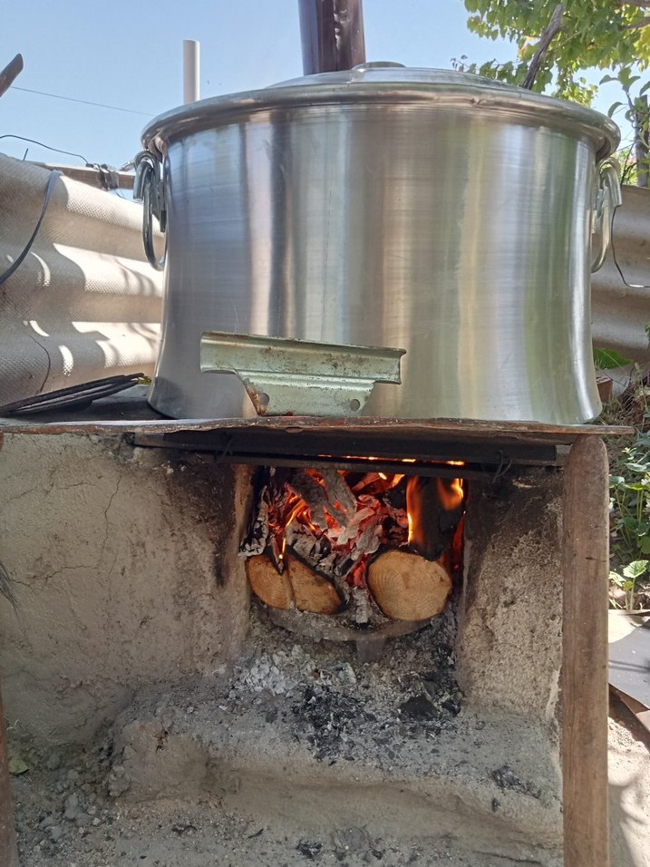 Çam Kozalaği - Görsel 4