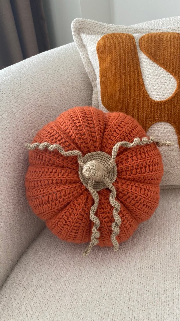 Balkabağı yastık - Görsel 3