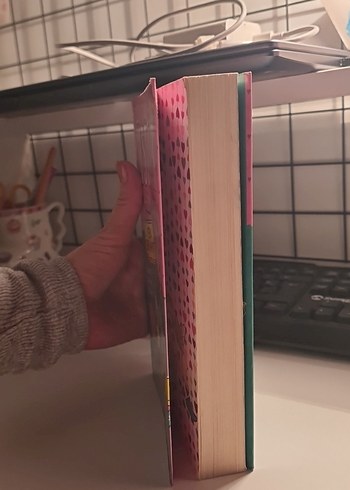 Üsütük Kızın Günlüğü - Yeni Bir Hayat - Görsel 4