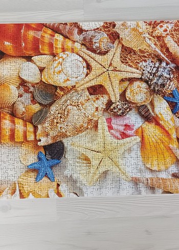 Beden 1000 Parça Deniz Kabukları Puzzle