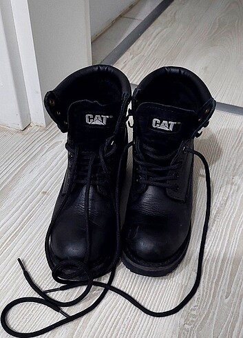 37 Beden Cat bot