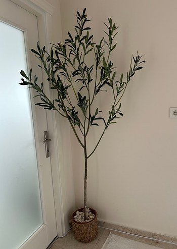Ikea Kahverengi Hasır Saksıda Yapay Zeytin Ağacı