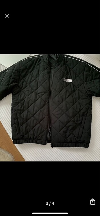 Puma mont