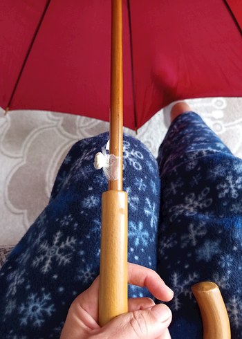 Bordo Drapeli Kadın Şemsiye - Görsel 2