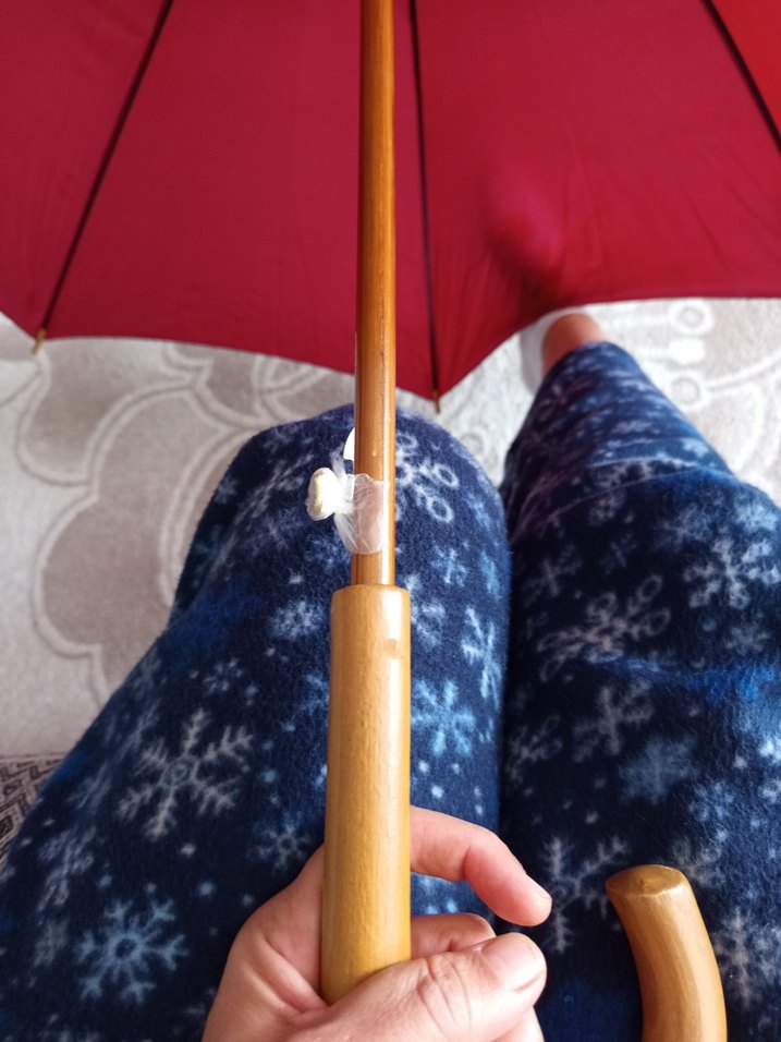 Bordo Drapeli Kadın Şemsiye - Görsel 2