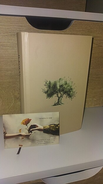 #İS KOKAN ZEYTİN AĞACI #ŞULE AVLAMAZ - Görsel 3