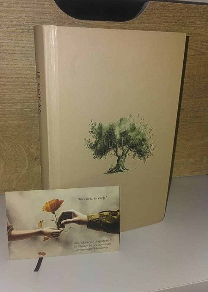 #İS KOKAN ZEYTİN AĞACI #ŞULE AVLAMAZ - Görsel 3