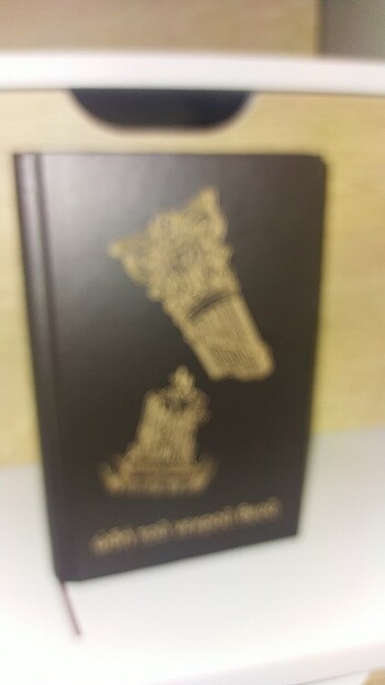 #ÖLÜ TANRININ ŞARKISI #DİLARA ÖZÇELİK - Görsel 2