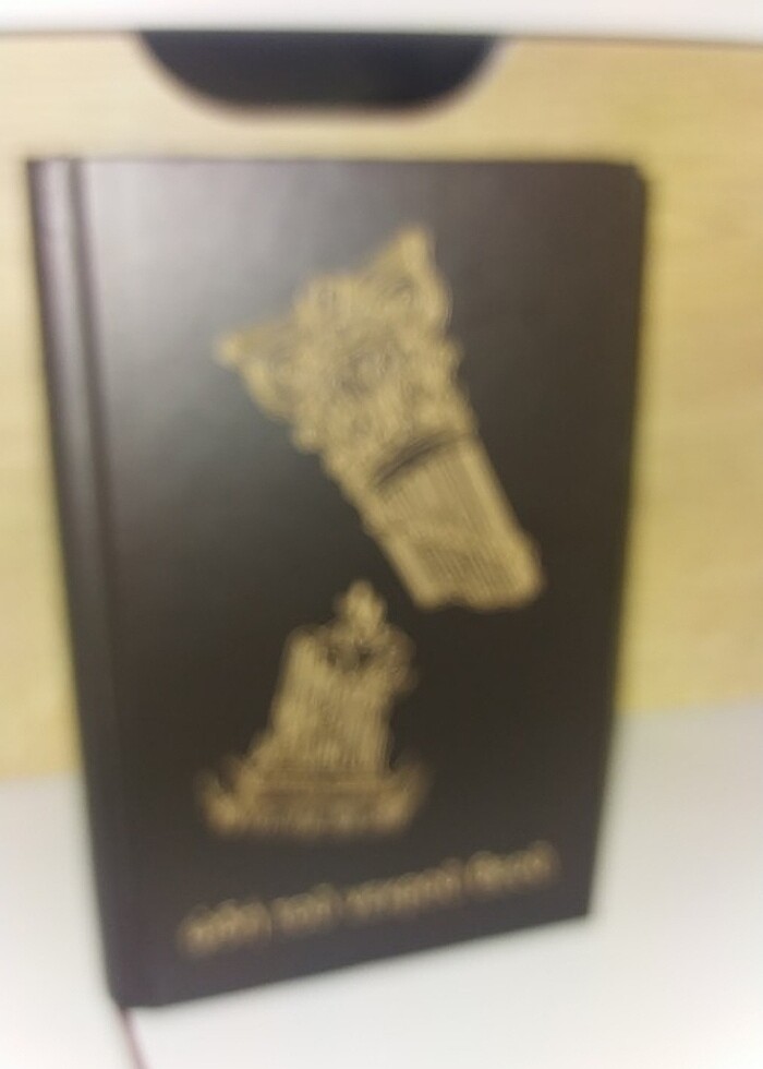 #ÖLÜ TANRININ ŞARKISI #DİLARA ÖZÇELİK - Görsel 2