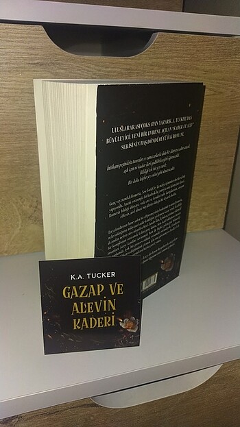 #GAZAP VE ALEVİN KADERİ #KİTAP - Görsel 2
