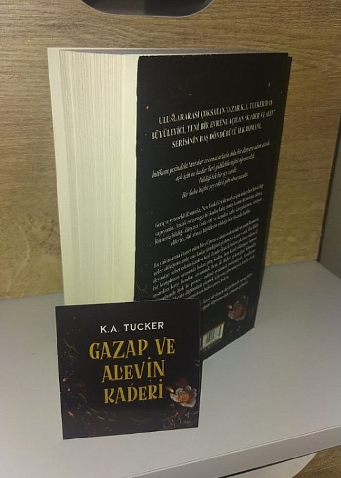 #GAZAP VE ALEVİN KADERİ #KİTAP - Görsel 2