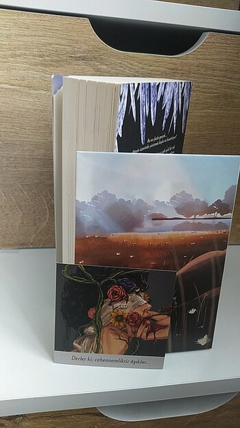 #Acı Ruhlar Ve Kasfetli Bedenler #Şehnaz&Gülşen - Görsel 2