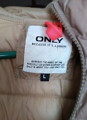 Only Mont pardesü 