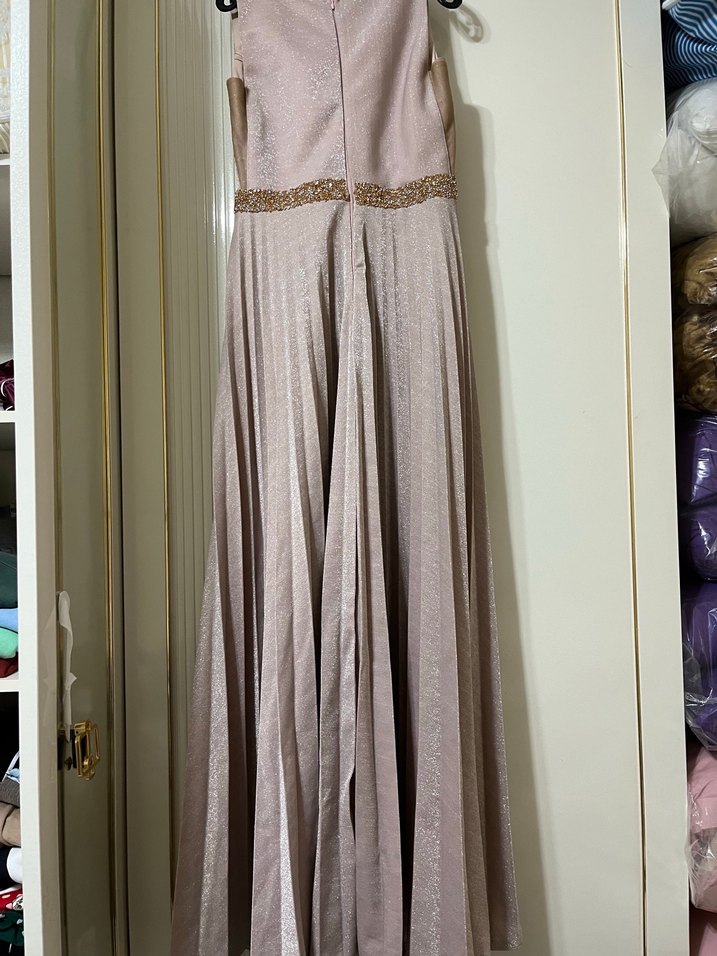 Bej Pilili Uzun Abiye Elbise - Görsel 3