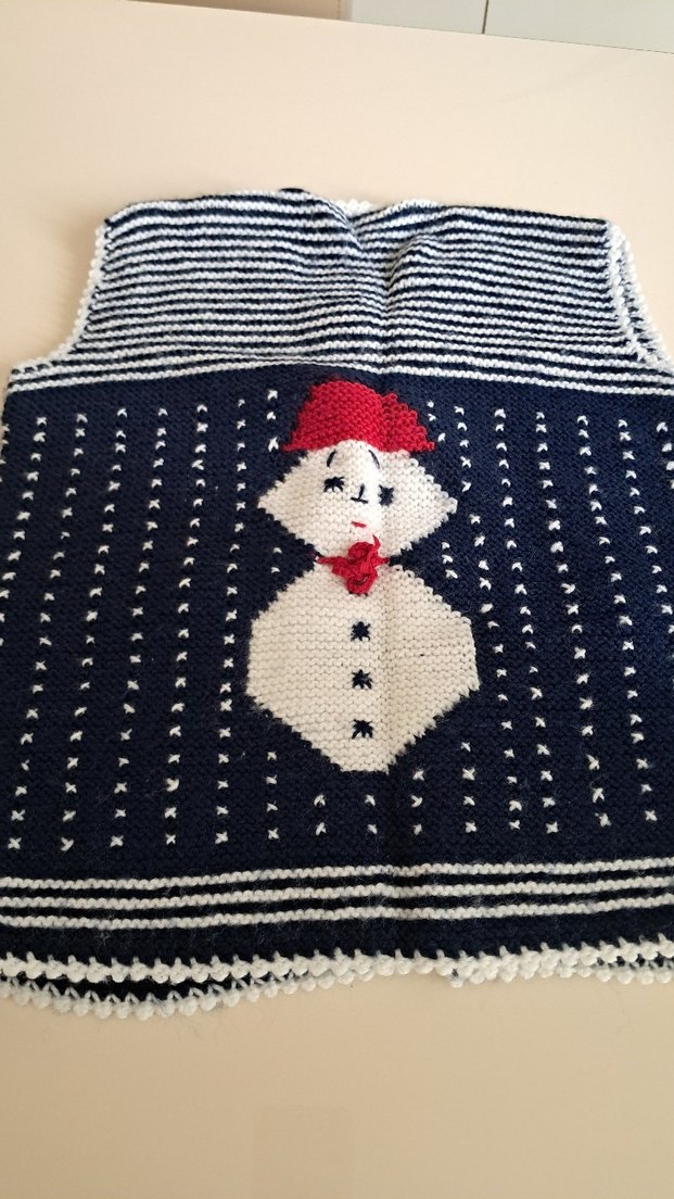 Nakışlı Mavi Erkek Çocuk Triko Yelek - Görsel 2