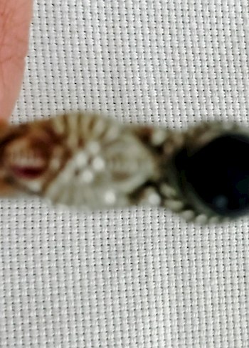 Vintage gümüş Bileklik UNİSEX - Görsel 6