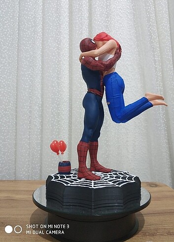 Spiderman & Mary Jane 
