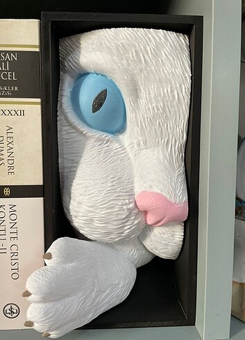 Kitaplık süsü