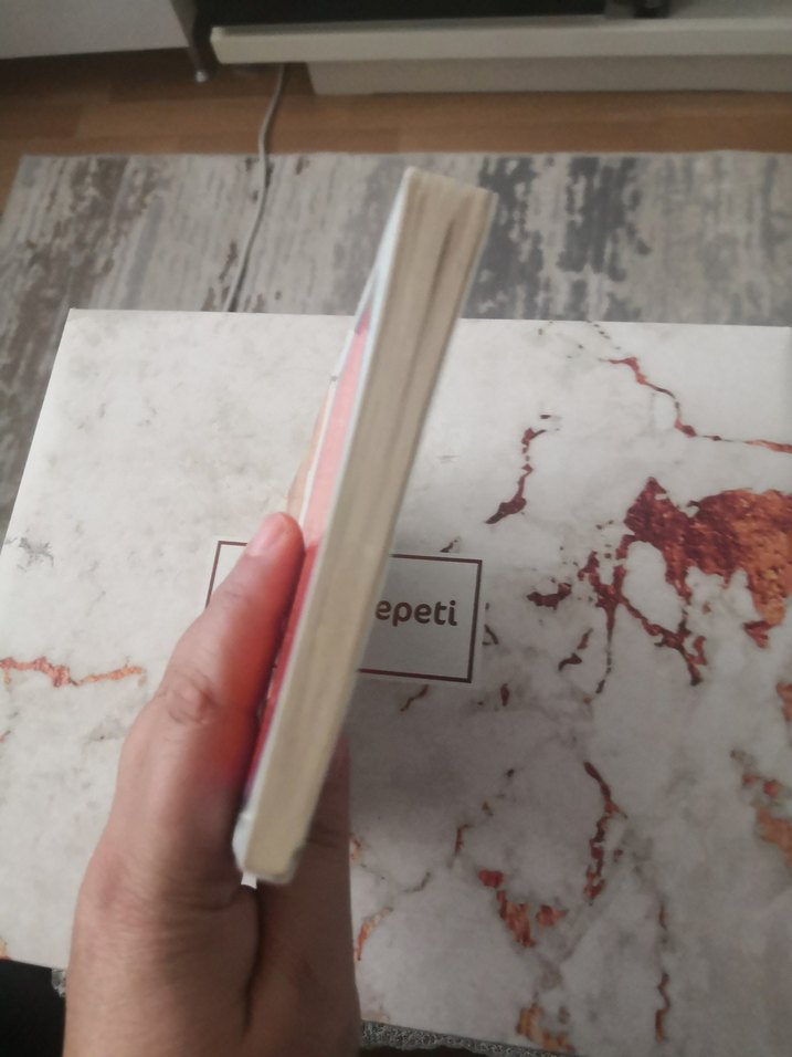 Yankılı Kayalar - Ahmet Yılmaz Boyunağa - Görsel 3