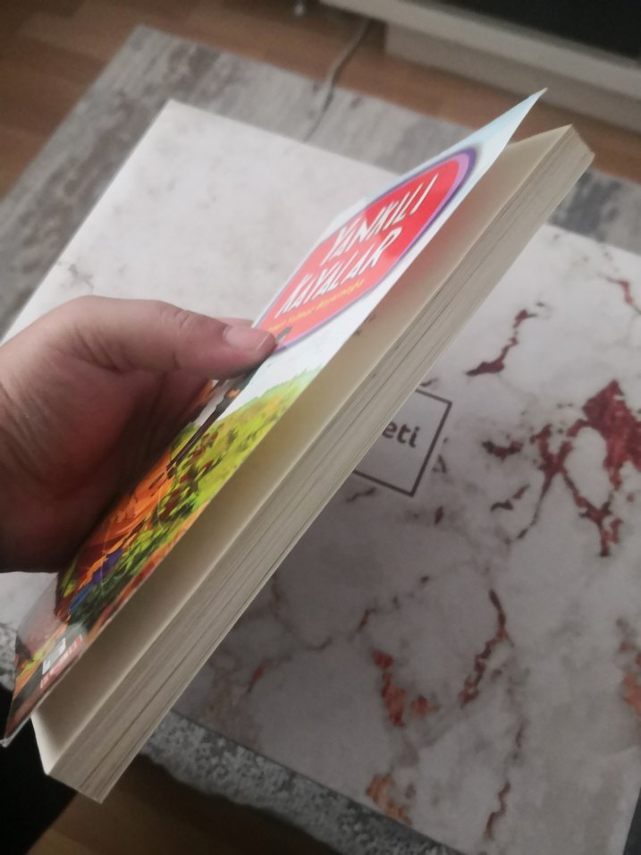 Yankılı Kayalar - Ahmet Yılmaz Boyunağa - Görsel 4