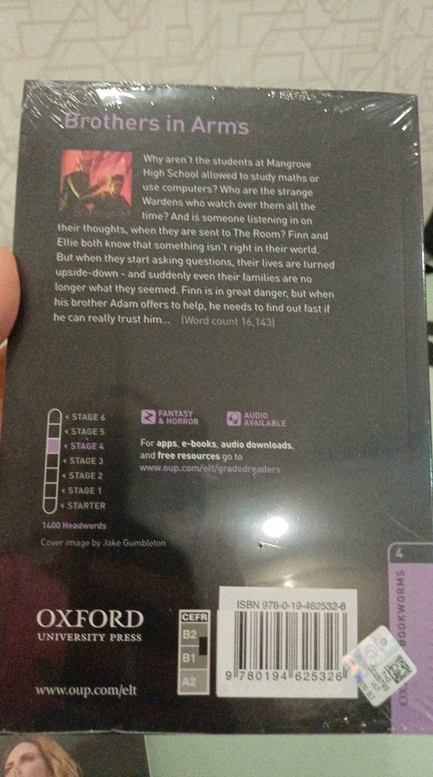 Brothers in Arms - Julie Reeves - Görsel 2