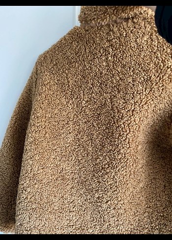 Kahverengi Kürklü kaban - Görsel 5