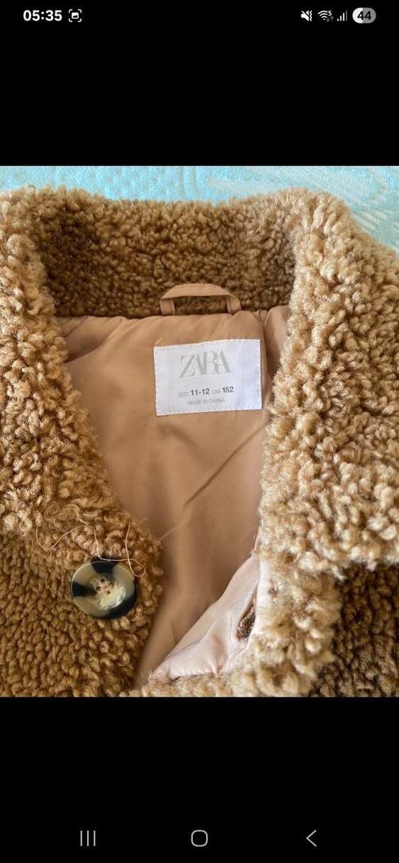 Kahverengi Kürklü kaban - Görsel 3