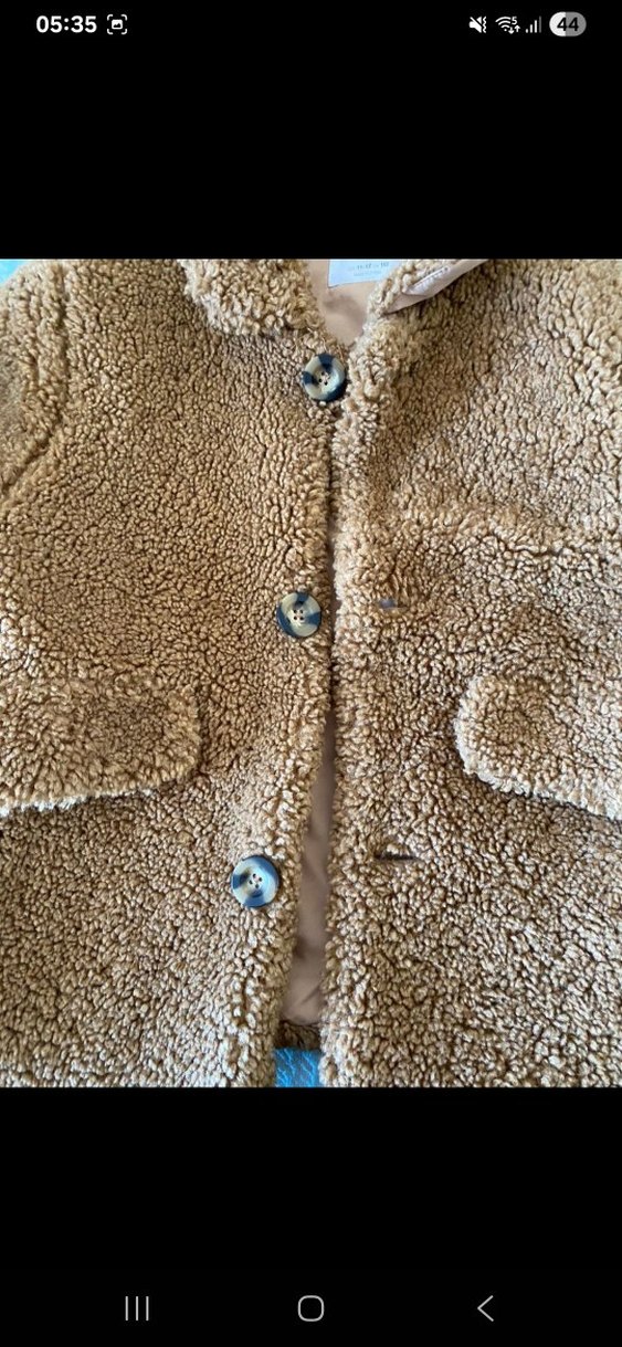 Kahverengi Kürklü kaban - Görsel 2