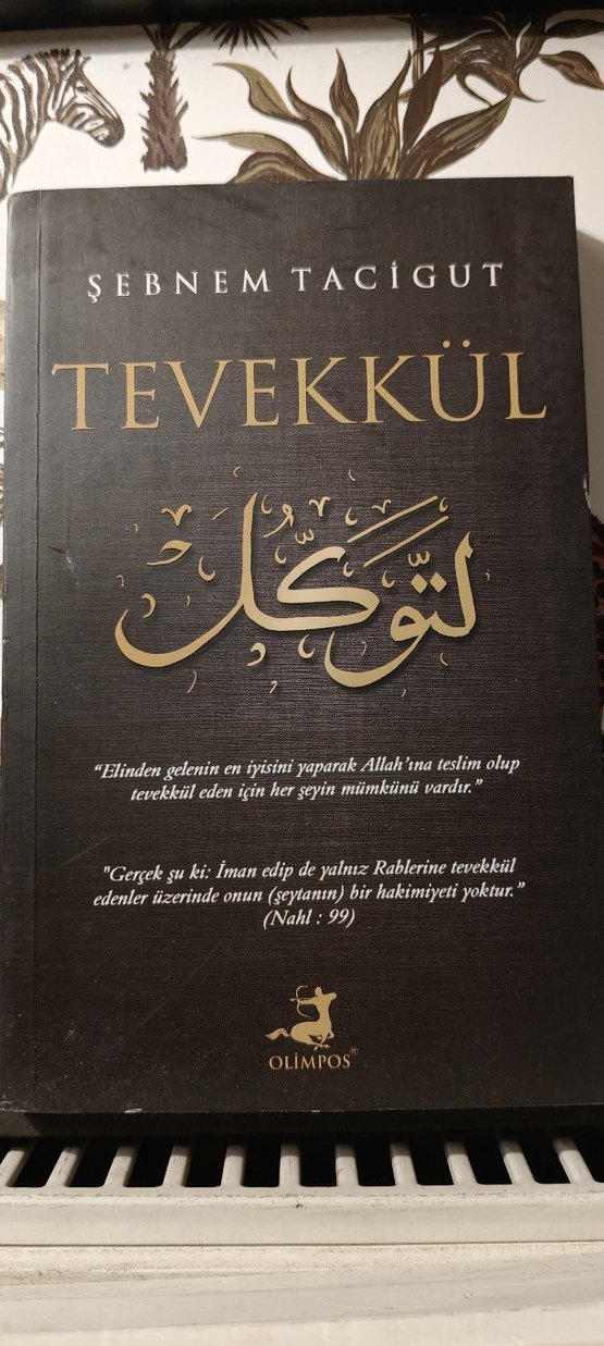Şebnem Tacigut - Tevekkül Dini Kitap - Görsel 2