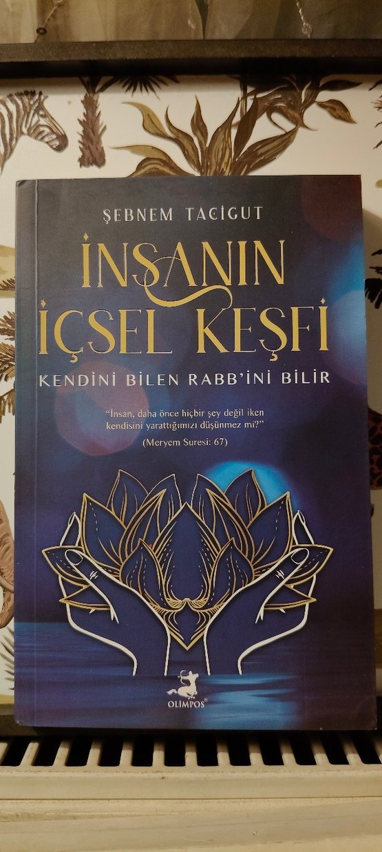 İnsanın İçsel Keşfi - Şebnem Tacigut - Görsel 2