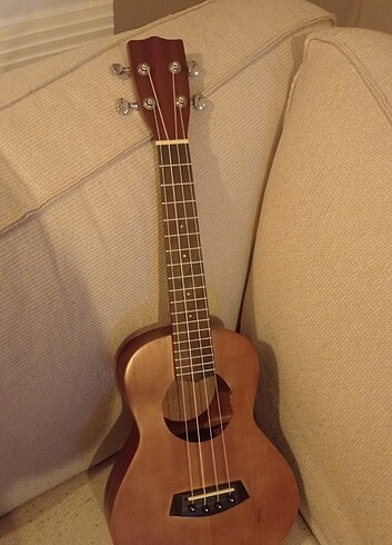 Ukulele concert