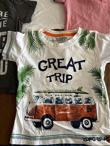 LC Waikiki Erkek Çocuk Tişört