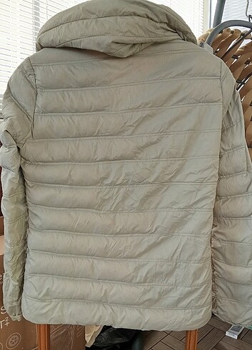 m Beden Kadın mont 