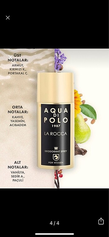  Beden Renk Aqua dı polo deodorant