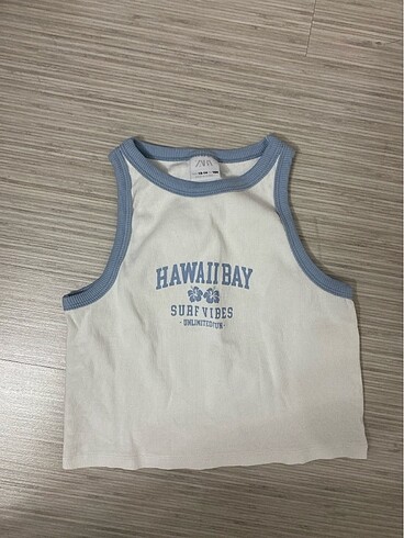 Zara crop top