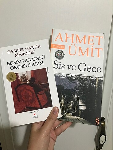 Sis ve Gece/ Benim Hüzünlü Orospularım