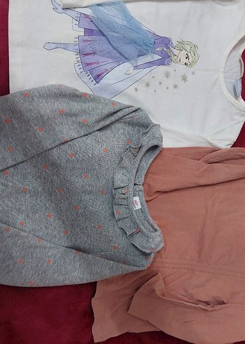 Gri Baskılı Kız Sweatshirtü, Uzun Kollu, Düğmeli