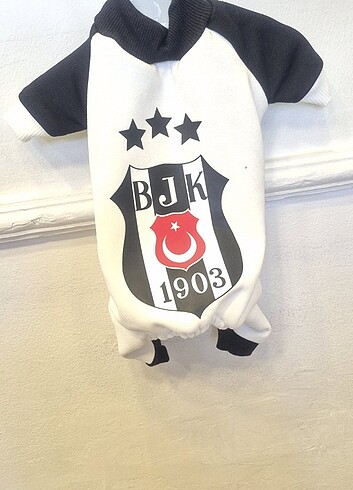 Kedi köpek kıyafeti