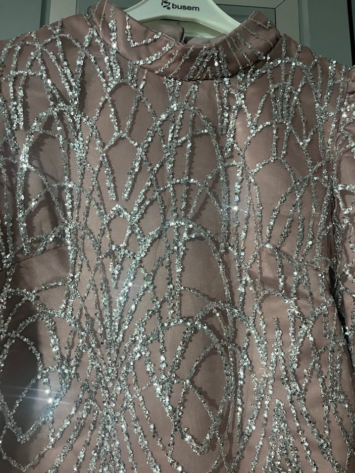 Pembe Payet İşlemeli Uzun Abiye Elbise - Görsel 4