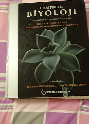 Kitap