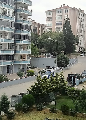 Koyu Yeşil Tek Tekerlekli El Arabası - Görsel 5