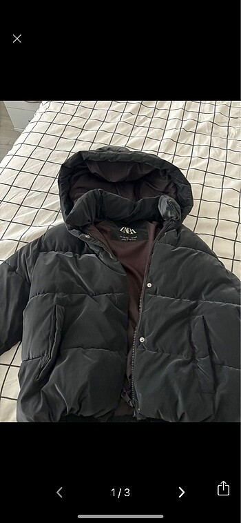 zara mont