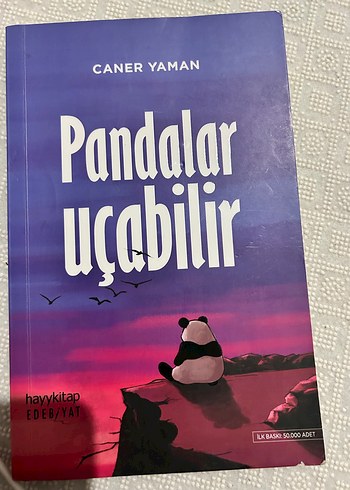 Hüzünlü Bir Ponçik - Çağrı Taner - Görsel 4